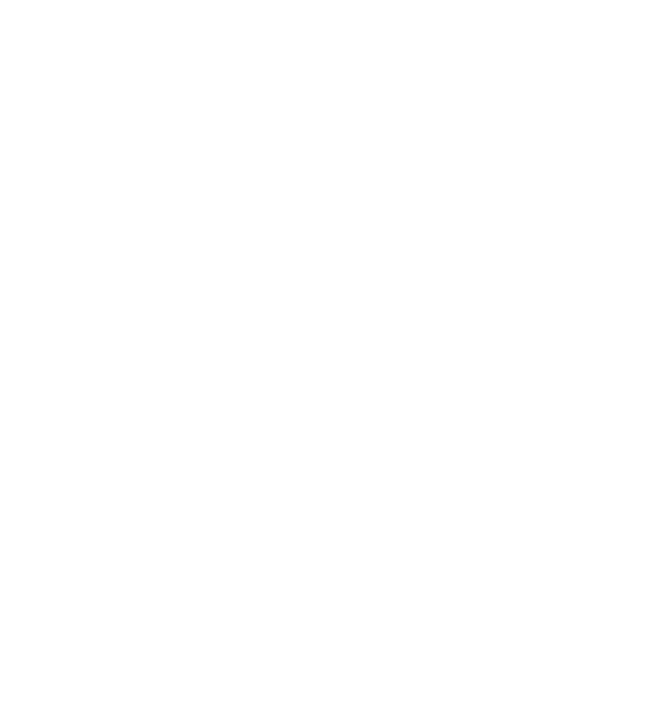 Flutter Frontend Dev